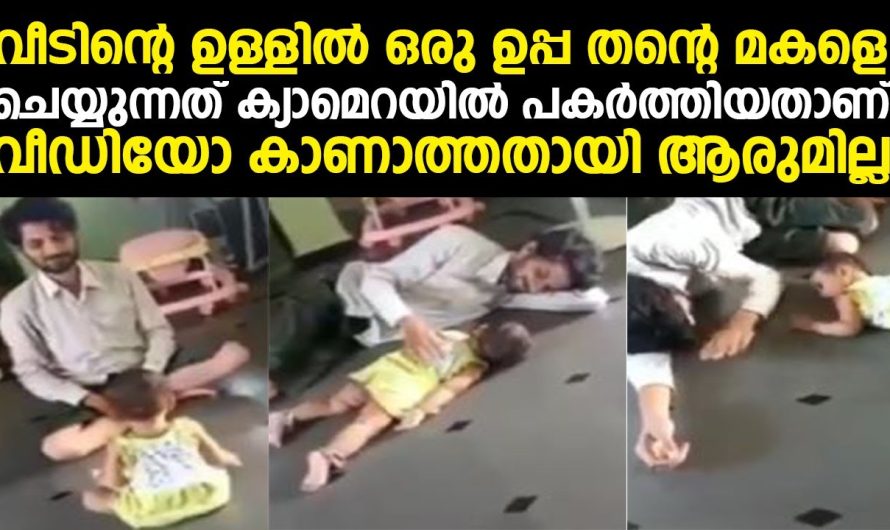 ക്യാമെറയിൽ  ഒരു ഉപ്പ വീടിൻ്റെ ഉള്ളിൽ തൻ്റെ മകളെ ചെയ്യുന്നത് പകർത്തിയതാണ് വീഡിയോ കാണാത്തതായി ആരുമില്ല