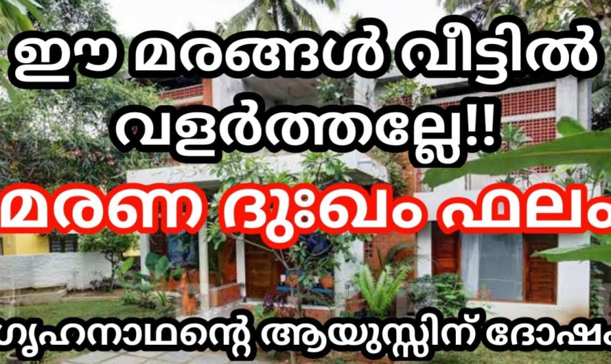 ഗൃഹനാഥന്റെ ആയുസ്സിന് ദോഷം മരണ ദുഃഖം ഫലം! ഈ മരങ്ങൾ വീട്ടിൽ വളർത്തല്ലേ!!