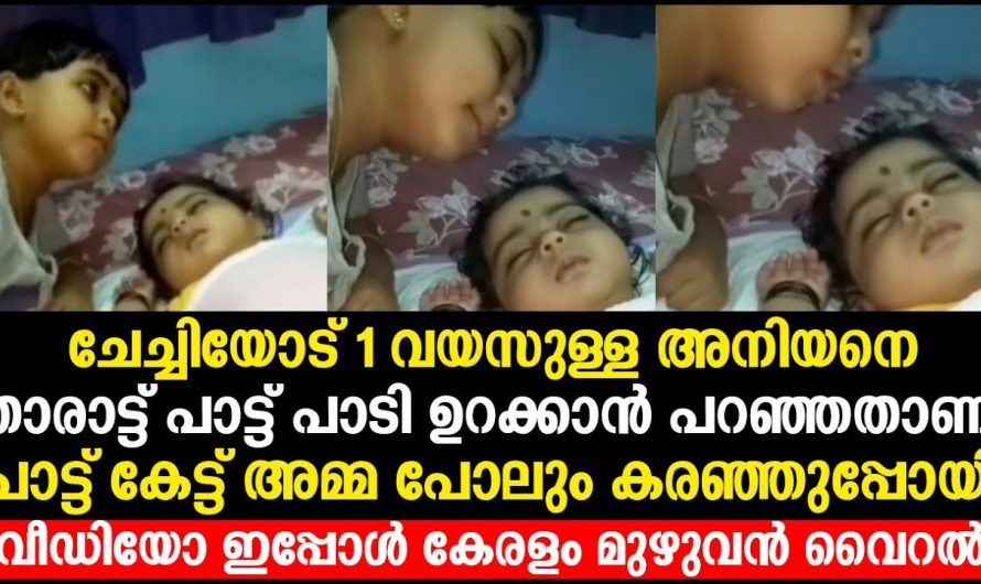താരാട്ട് പാട്ട് പാടി അനിയനെ ഉറക്കാൻ ചേച്ചിയോട് പറഞ്ഞതാണ്,ഇപ്പോൾ ഇവരാണ് സോഷ്യൽ മീഡിയയിൽ താരങ്ങൾ