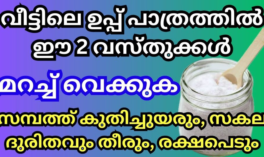 ഈ 2 വസ്തുക്കൾ വീട്ടിലെ ഉപ്പ് പാത്രത്തിൽ മറച്ച് വെക്കുക, സമ്പത്ത് നിറയും, കടങ്ങൾ തീരും, ജീവിതം രക്ഷപെടും