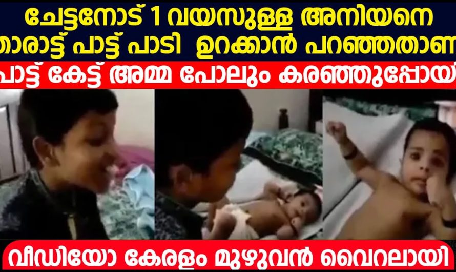 അനിയനെ താരാട്ട് പാട്ട് പാടി ഉറക്കാൻ ചേട്ടനോട് പറഞ്ഞതാണ്, സോഷ്യൽ മീഡിയ മുഴുവൻ നിമിഷം നേരം കൊണ്ട് തന്നെ വൈറലായി മാറിയത്