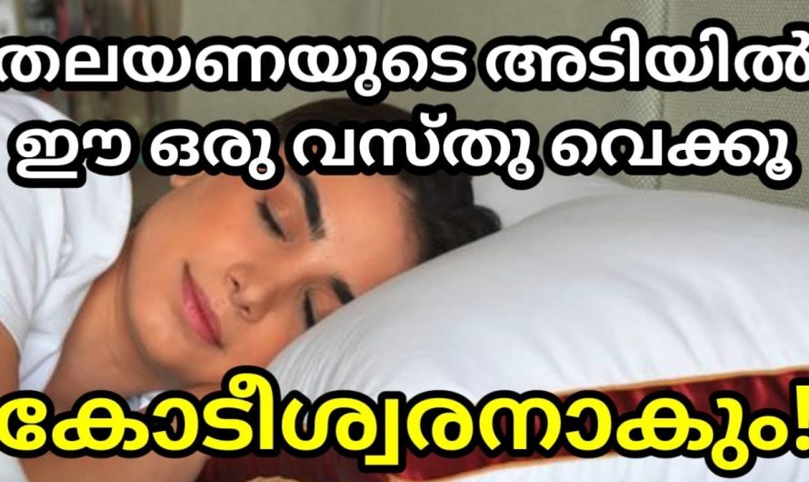 ഈ ഒരു വസ്തു തലയണയുടെ അടിയിൽ വെച്ച് ഉറങ്ങുക- ഐശ്വര്യവും സമ്പത്തും കുതിച്ചുയരും