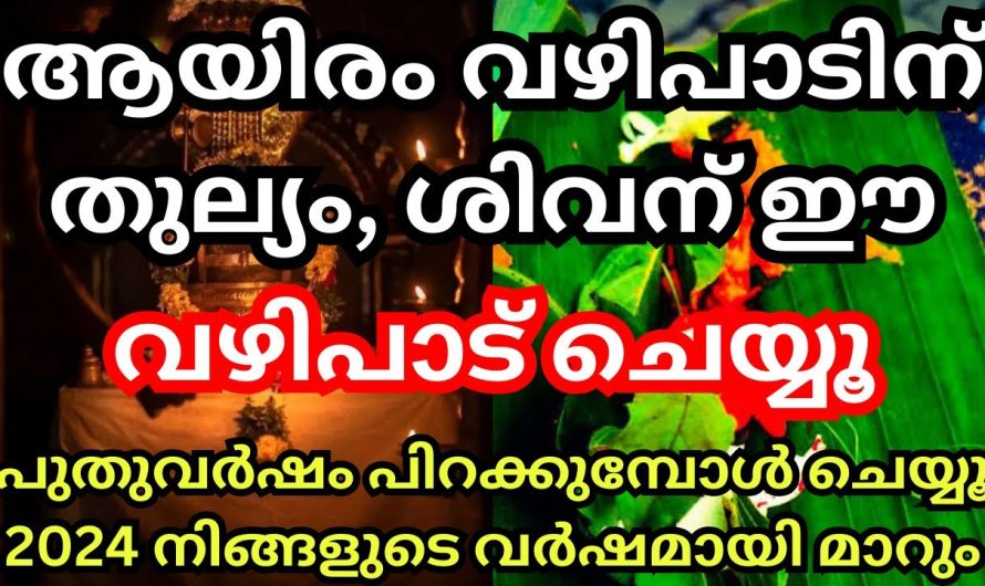 ഈ ഒരു വഴിപാട് ശിവന് ചെയ്യുന്നത് ആയിരം വഴിപാടിന് തുല്യം, പുതുവർഷം ഇത് ചെയ്യൂ, മഹാഭാഗ്യം