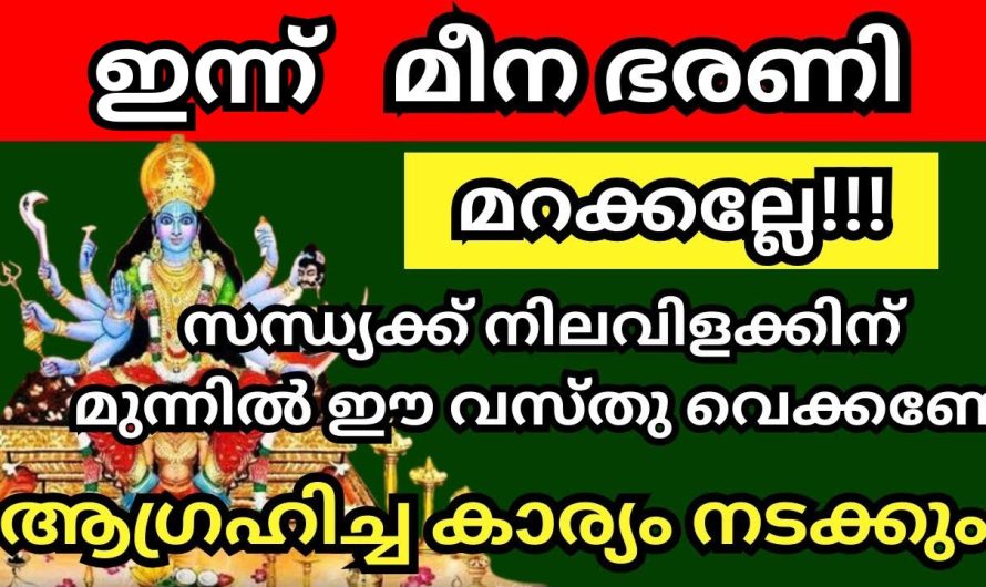 അപൂർവ അവസരം ഇത്, ഭഗവതി നമ്മളെ രക്ഷിക്കും മീനഭരണി ഇങ്ങ് എത്തി, ഇത് ചെയ്യൂ