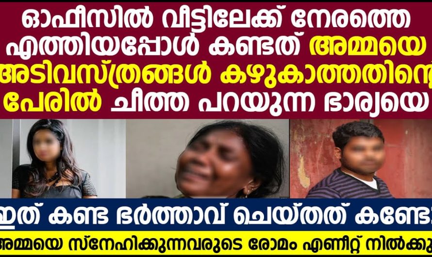 ഭാര്യ അമ്മയോട് ചെയ്യുന്നത് കണ്ടപ്പോൾ, ഈ യുവാവ് ഭാര്യക്ക് കൊടുത്ത  പണി കണ്ടോ