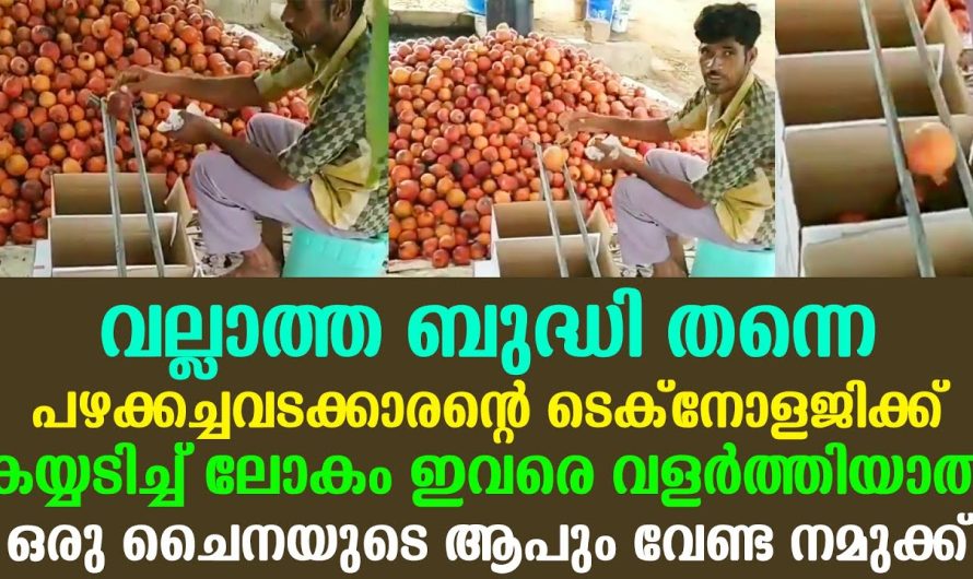 പഴക്കച്ചവടക്കാരന്റെ ടെക്‌നോളജിക്ക് കയ്യടിച്ച് ലോകം, വല്ലാത്ത ബുദ്ധി തന്നെ നമുക്ക് ഇത് ഒന്നും തോന്നിയില്ലല്ലോ ഇത്രയും കാലം…