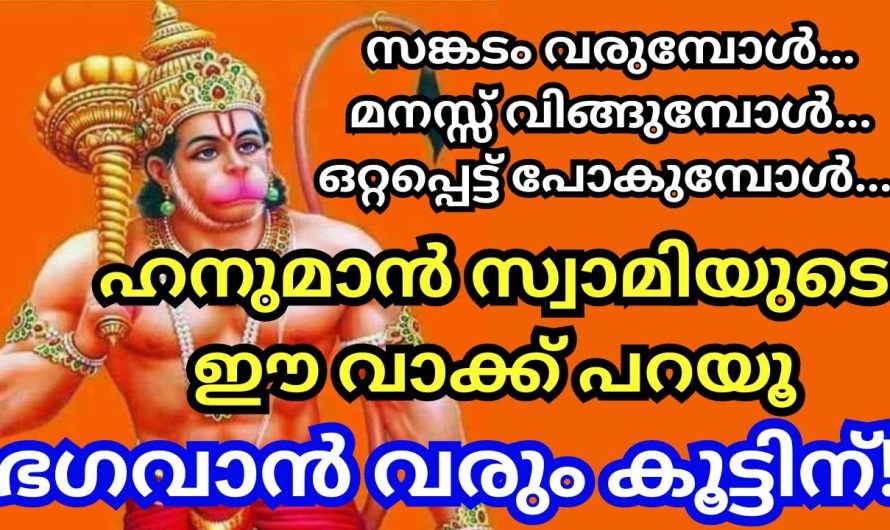ഇങ്ങനെ പ്രാർഥിക്കൂ ഒറ്റപ്പെട്ടുപോകുമ്പോൾ സ്വാമി വരും കൂട്ടിന്!! ജയ് ശ്രീ റാം