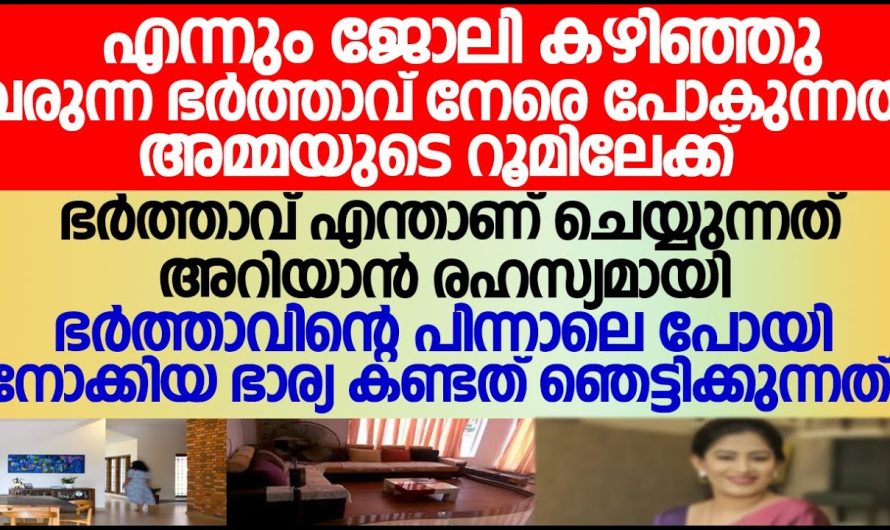 ഭർത്താവ് എന്നും ജോലി കഴിഞ്ഞു വരുന്ന പോകുന്നത് അമ്മയുടെ റൂമിലേക്ക്, കാര്യം അറിയാനായി ഒളിഞ്ഞു നോക്കിയാ ഭാര്യ കണ്ടത്