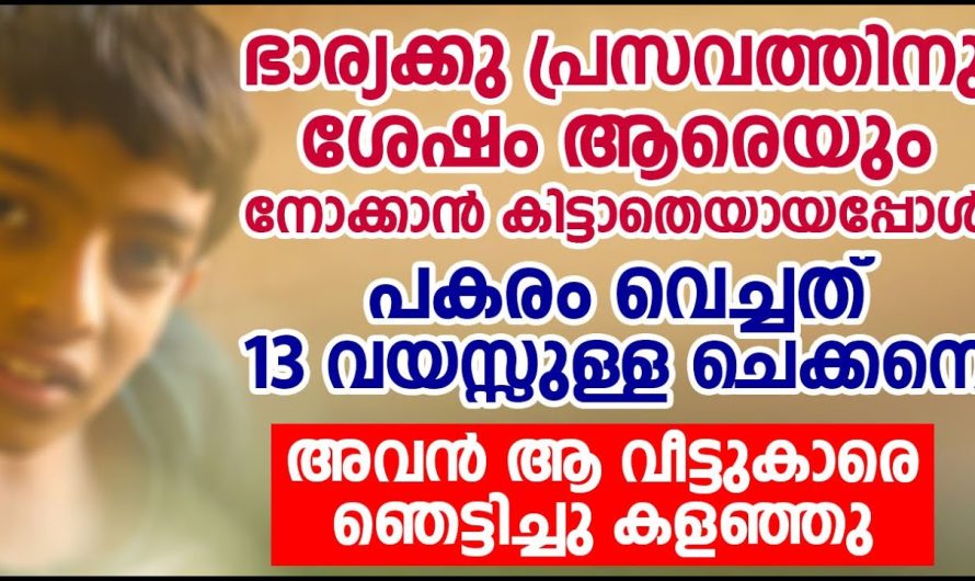 ഭാര്യയെ നോക്കാൻ പ്രസവത്തിനു ശേഷം നിർത്തിയത് 13 വയസ്സുള്ള ചെക്കനെ, ആ വീട്ടുകാരെ അവൻ ഞെട്ടിച്ചു കളഞ്ഞു
