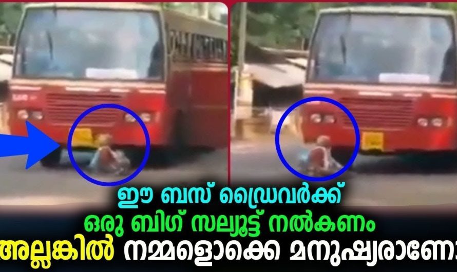 ഇവർക്ക് നമ്മൾ കൊടുക്കേണ്ട സപ്പോർട്ട് , ഇങ്ങനെ ഉള്ളവരും ഡ്രൈവർമാർ ഉണ്ട്,
