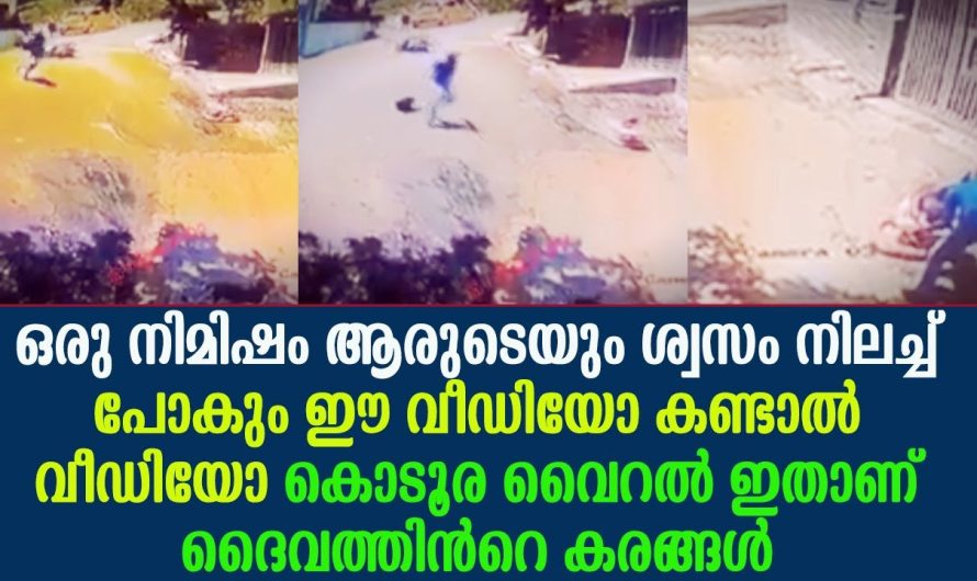 ഈ വീഡിയോ കണ്ടാൽ  ആരുടെയും ശ്വസം നിലച്ച് പോകും ഒരു നിമിഷം !!!