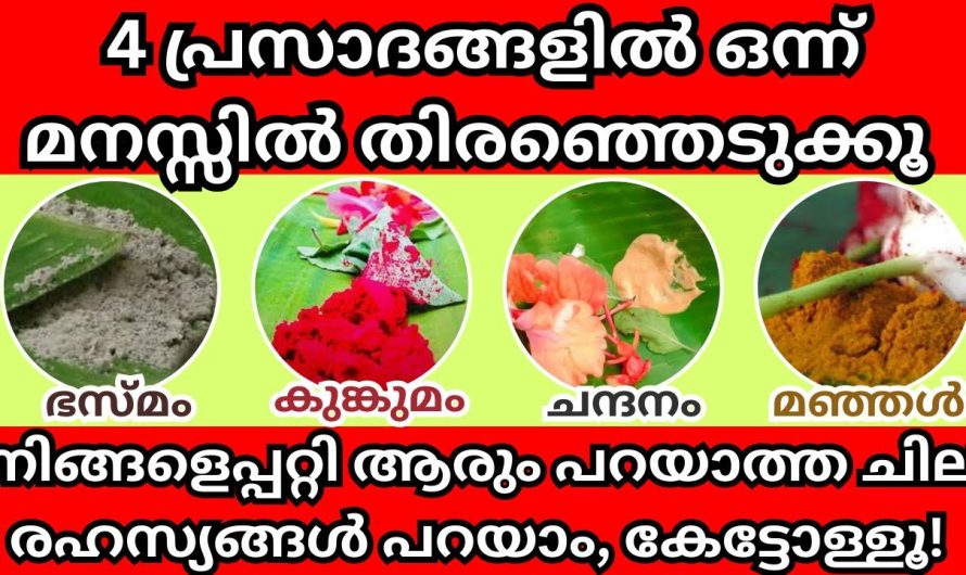 ആരും ഇന്ന് വരെ പറയാത്ത രഹസ്യങ്ങൾ പറയാം, ഈ 4 പ്രസാദങ്ങളിൽ ഒന്ന് മനസ്സിൽ തിരഞ്ഞെടുക്കൂ,