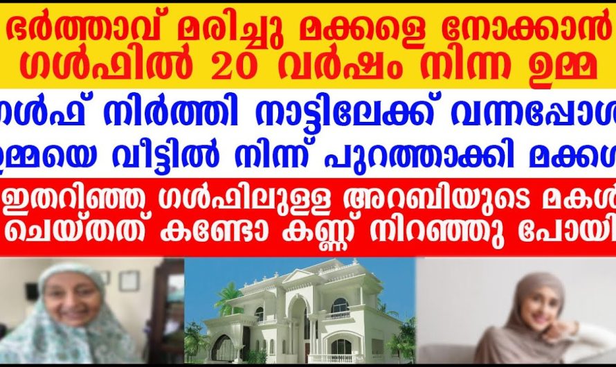 ഗൾഫിലെ ജോലി മതിയാക്കി വീട്ടിലേക്ക് വന്നപ്പോൾ, ഉമ്മയോട് വീണ്ടും തിരിച്ചു പോകാൻ പറഞ്ഞ മകൾ ഇതറിഞ്ഞ അറബിയുടെ മകൾ ചെയ്തത് കണ്ടോ