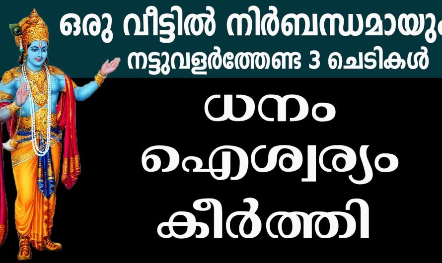 ഉടനെ ഈ 3 ചെടികൾ വെക്കുക വീട്ടിൽ ,സർവ്വ അഭിവൃദ്ധിയും വന്നുചേരും,