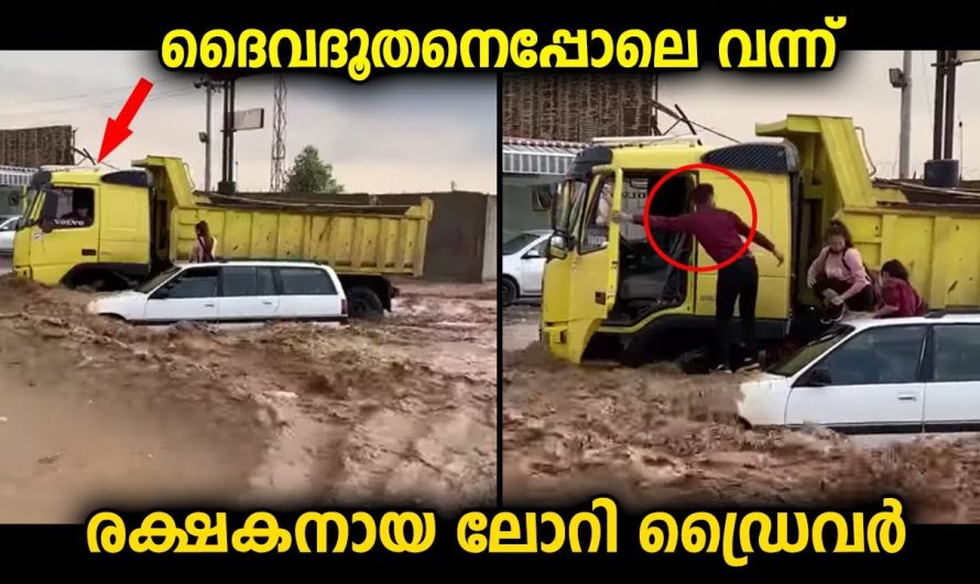 കാറിലുള്ളവരെ ദൈവദൂതനെപോലെ വന്ന് രക്ഷിച്ച ഡ്രൈവർ…ഇതാണ് യഥാർത്ഥ രക്ഷകൻ