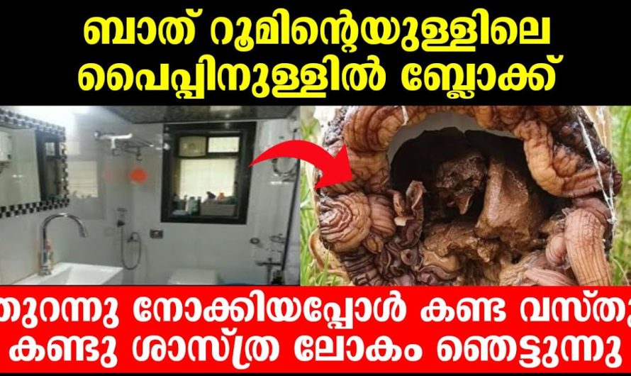 ശാസ്ത്ര ലോകം ഞെട്ടുന്നു, ബാത്റൂമിന്റെയുള്ളിലെ പൈപ്പിനുള്ളിൽ ബ്ലോക്ക് തുറന്നു നോക്കിയപ്പോൾ കണ്ടത്!!