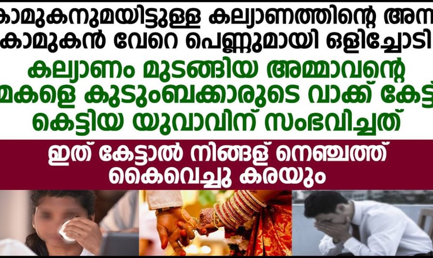 വേറെ ഒരുത്തൻ കൊണ്ട് നടന്ന അവളെ എന്റെ തലയിൽ കെട്ടി വെച്ച, അമ്മയോടും ബന്ധുക്കളോടും അവൻ പറയുന്നത് കേട്ടോ