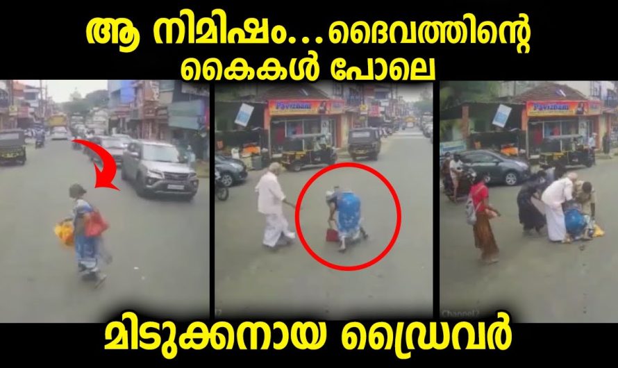 ദൈവത്തിന്റെ കൈകൾ പോലെ, ആ നിമിഷം മിടുക്കനായ ഡ്രൈവർക്ക് ബ്രേക്ക് ചവിട്ടാൻ തോന്നി..
