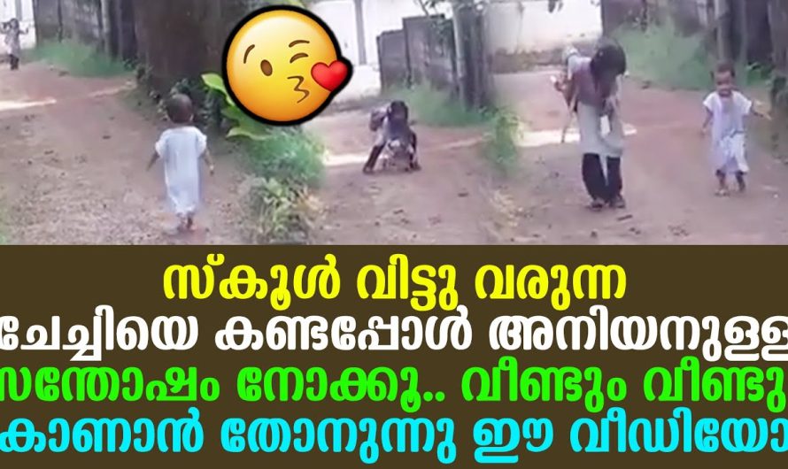 വീണ്ടും വീണ്ടും കാണാൻ തോനുന്നു ഈ വീഡിയോ, സ്കൂൾ വിട്ടു വരുന്ന ചേച്ചിയെ കണ്ടപ്പോൾ അനിയനുള്ള സന്തോഷം