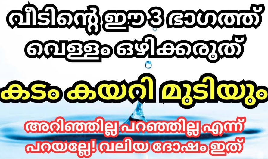 വെള്ളം ഒഴിക്കരുത് വീടിന്റെ ഈ 3 ഭാഗങ്ങളിൽ , കടം കയറി മുടിയും
