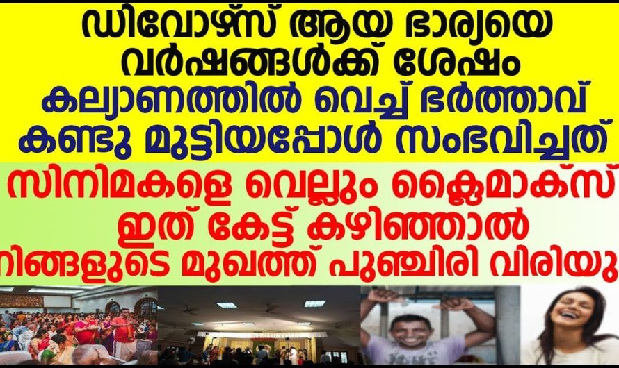 കല്യാണത്തിൽ വെച്ച് ഡിവോഴ് സ് ആയ ഭാര്യയെ വർഷങ്ങൾക്ക് ശേഷം, കണ്ടു മുട്ടിയപ്പോൾ അവളെ ഒളിച്ചു നോക്കി ഭർത്താവ്