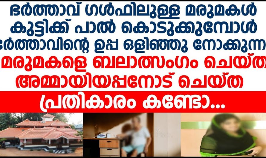 കുഞ്ഞിന് പാല് കൊടുക്കുമ്പോൾ ഒളിഞ്ഞു നോക്കുന്ന  അമ്മായപ്പനോട് ഈ മരുമകൾ ചെയ്തത് കണ്ടോ?