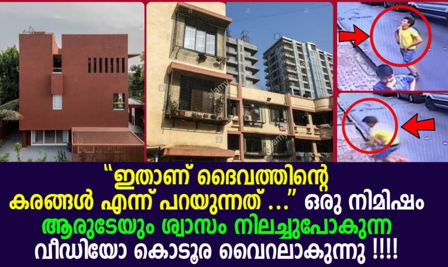 ദൈവത്തിന്റെ കരങ്ങൾ എന്ന് പറയുന്നത് ഇതാണ്… ആരായാലും ഒന്ന് അമ്പരന്നു പോകും ഒരു നിമിഷം എകിലും