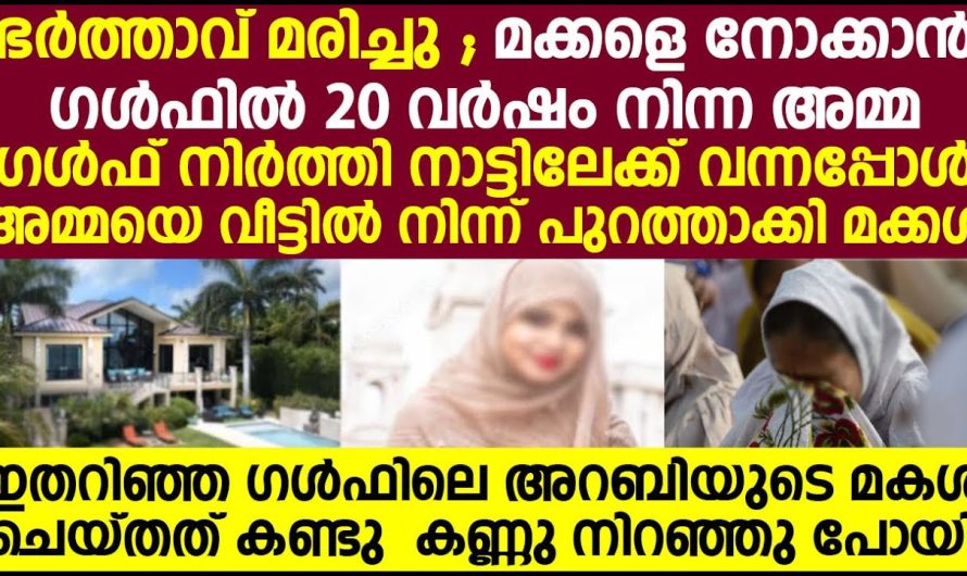 നാട്ടിലേക്ക് പറഞ്ഞയച്ച ജോലിക്കാരിയെ അവരുടെ വീട്ടിൽ നിന്ന് പുറത്താക്കി എന്നറിഞ്ഞപ്പോൾ അറബി മുതലാളി ചെയ്തത് കണ്ടോ?