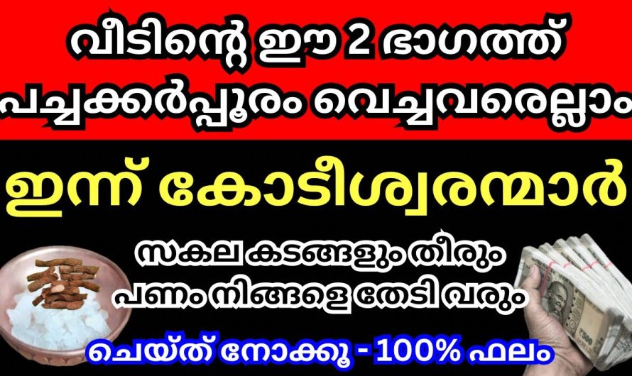 വയമ്പും പച്ചക്കർപ്പൂരവും വീടിന്റെ ഈ ഭാഗത്ത് വെച്ച് നോക്കൂ,  കോടീശ്വരനാകും എത്ര പാവപ്പെട്ടവനും
