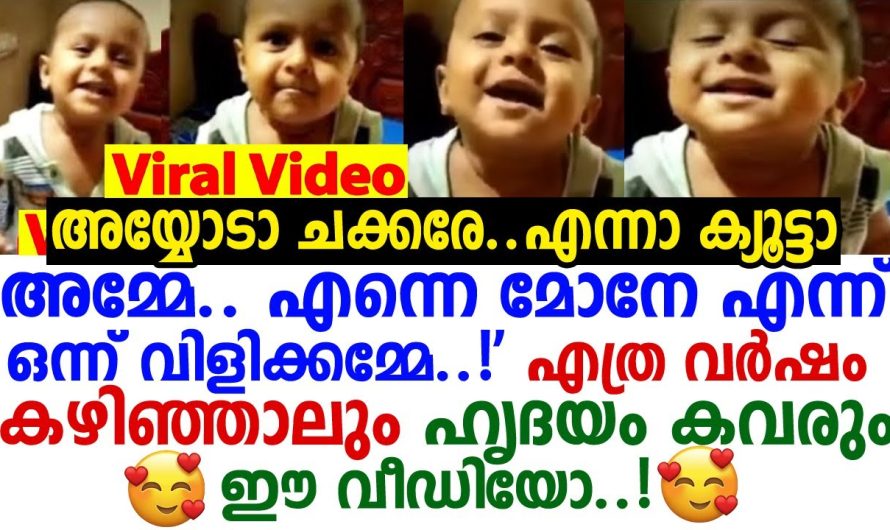 സോഷ്യല്‍ മീഡിയയുടെ മനം കവര്‍ന്ന് ഈ കുഞ്ഞാവയുടെ വീഡിയോ, എന്നെ മോനെ എന്ന് ഒന്ന് വിളിക്കമ്മേ..