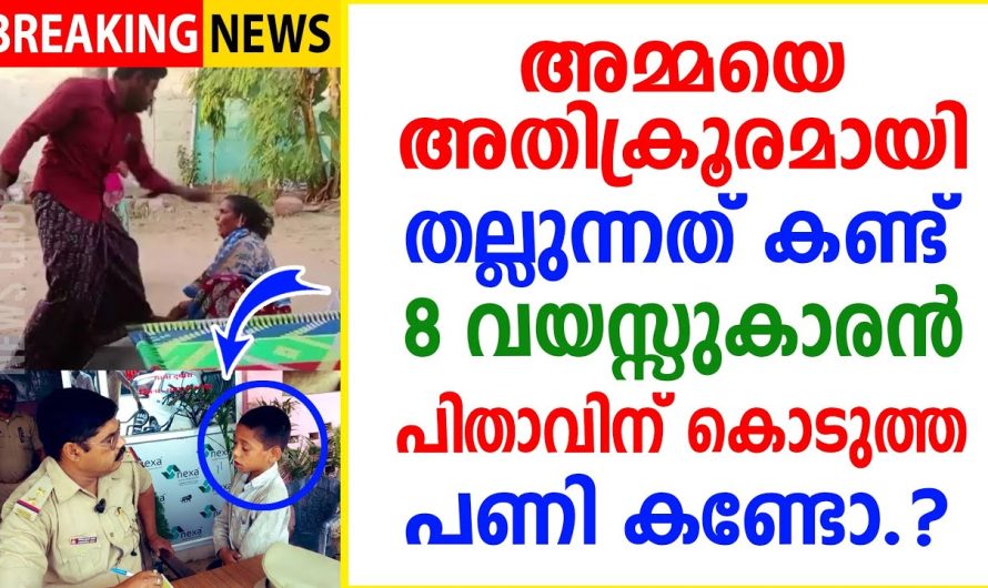 എട്ടു വയസ്സുകാരൻ അമ്മയെ അ.തി.ക്രൂ.ര.മായി തല്ലുന്നത് കണ്ട്  ചെയ്തത് കണ്ടോ.?