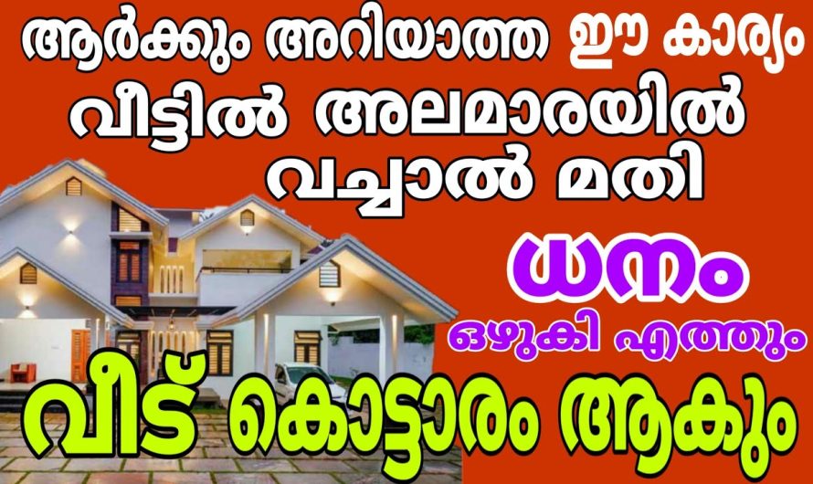 അലമാരയിൽ ഈ കാര്യം ആർക്കും അറിയാത്ത ചെയ്യു, പണം കുമിഞ്ഞു കുടും