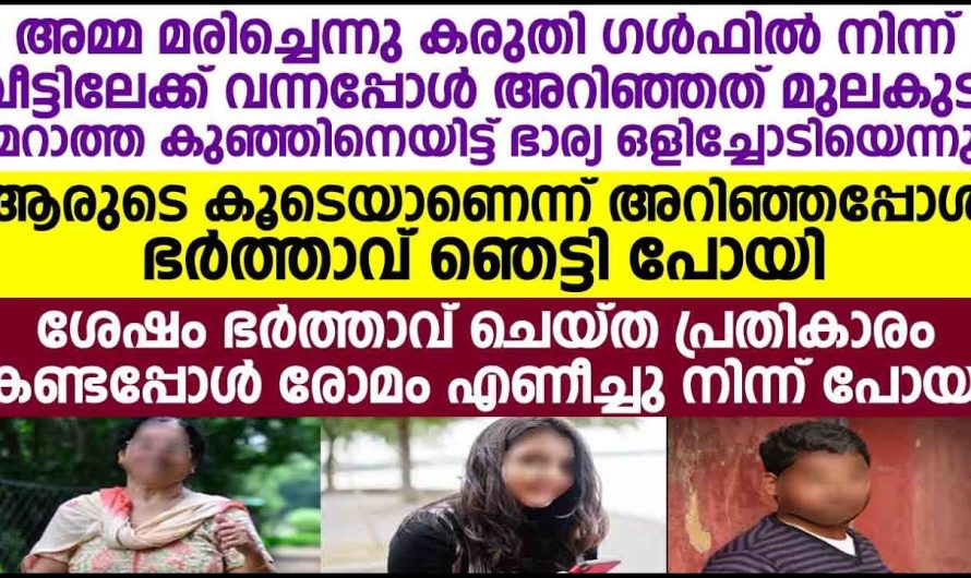 ഭാര്യ ഒളിച്ചോടി കാമുകനൊപ്പം മു.ല.കു.ടി മറാത്ത കുഞ്ഞിനെ ഉപേക്ഷിച്, തെറ്റ് മനസ്സിലായി തിരിച്ചുവന്ന അവളോട്, ഭർത്താവ് പറഞ്ഞ മറുപടി കണ്ടോ ഇത് ഒക്കെ ആണ് ശരിക്കുമുള്ള പ്രതികാരം