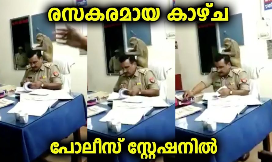 ആരായാലും ചിരിച്ചുപോകും രസകരമായ ഈ കാഴ്ച പോലീസ് സ്റ്റേഷനിലെ കണ്ടാൽ