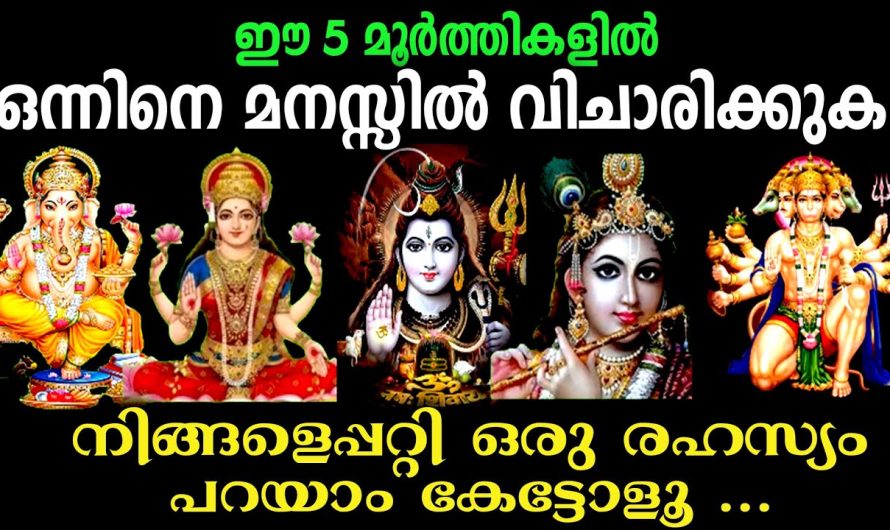എവിടെയും വിജയം സുനിശ്ചിതം, ഇതു മുറുകെ ഇനിയങ്ങോട്ട് പിടിച്ചാല്‍,