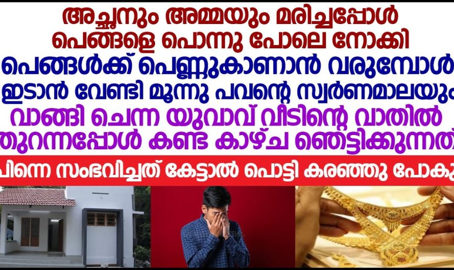 പൊന്നുപോലെ നോക്കി പെങ്ങൾക്ക് വേണ്ടി നല്ല ഒരു ചെക്കനെയും കണ്ടുപിടിച്ചു വീട്ടിലേക്ക് വരുമ്പോൾ, വീട്ടിൽ നിന്നും വേറെ ഒരാളുടെ പെരുമാറ്റം ഇത് കണ്ടാ യുവാവ് ചെയ്തത് കണ്ടോ