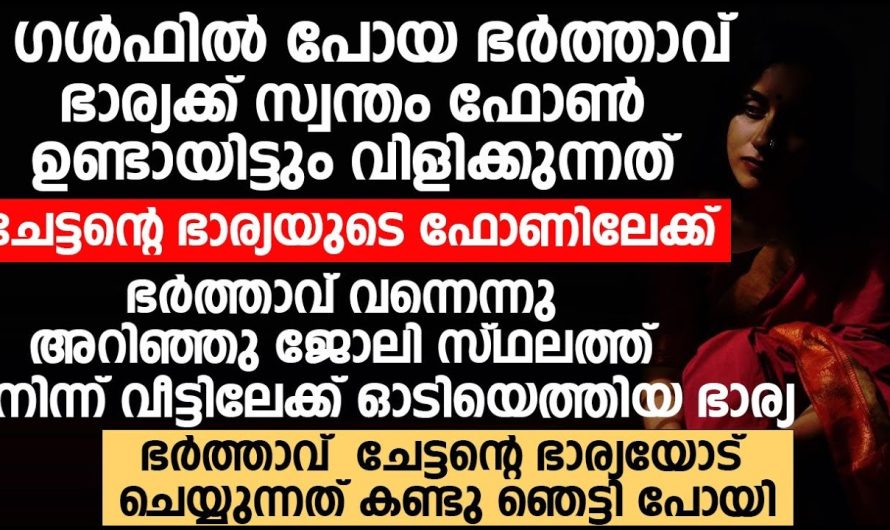ഗൾഫിലേക്ക് പോയ ഭർത്താവ് വിളിക്കുന്നത് ചേച്ചിയുടെ ഫോണിലേക്ക് ഒരു ദിവസം തന്നോട് പറയാതെ ചേച്ചിയെ കാണാൻ വന്ന ഭർത്താവിനെ അപ്രതീക്ഷിതമായി കണ്ട നവവധു ചെയ്തത് കണ്ടോ