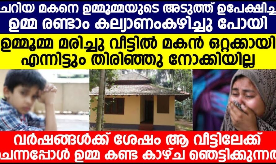 എന്തിനാ ഉമ്മുമ്മയുടെ അടുത്ത് എന്നെ ആക്കി പോയത്, ഉമ്മമാ മരിച്ച ശേഷം ഞാൻ എങ്ങനെ ജീവിച്ചത് എന്ന് അമ്മയ്ക്ക് അറിയാമോ? ഇപ്പോൾ വന്നിരിക്കുന്നു അമ്മയാണ് എന്ന് പറഞ്ഞു
