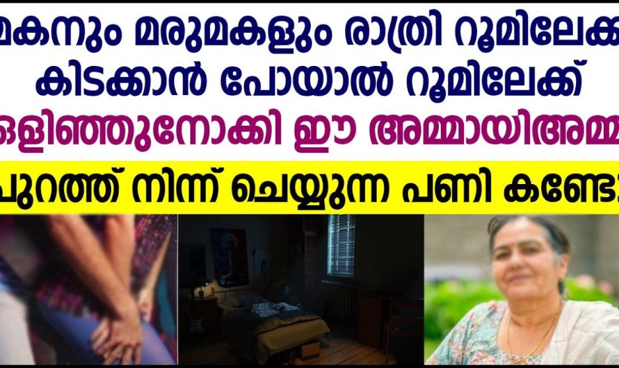 ഒളിഞ്ഞു കേൾക്കുന്നത് അത്ര ഒരു നല്ല ഒരു കാര്യം ഒന്നുമല്ല  ഇത് പറഞ്ഞാ മരുമകളോട് അമ്മായിയമ്മ പറഞ്ഞത് കണ്ടോ