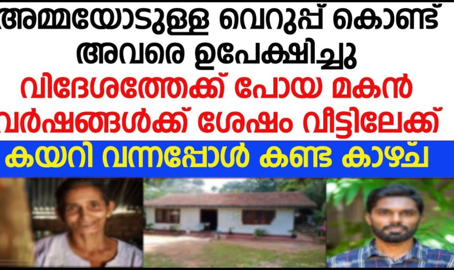 അമ്മയെ ഉപേക്ഷിച്ച് വിദേശത്തേക്ക് പോയ മക്കൾ വർഷങ്ങൾക്ക് ശേഷം വീട്ടിലേക്ക് കയറിയപ്പോൾ അവിടെ കണ്ട കാഴ്ച