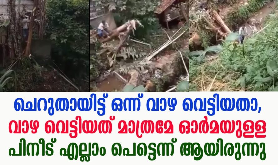 എല്ലാം പെട്ടെന്ന് ആയിരുന്നു വാഴ വെട്ടിയതെ പിനീട് മാത്രമേ ഓര്മ ഉളൂ !!
