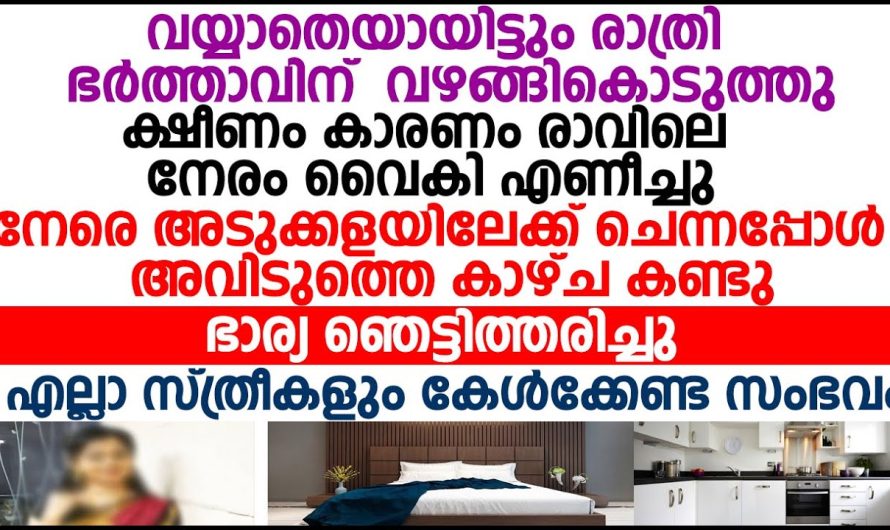 ഈ വീട്ടിൽ തനിക്ക് ഒരു വിലയും ഇല്ല എന്നും രാത്രിയാകുമ്പോൾ മാത്രം തന്നെ ഭർത്താവിനു മതി എന്ന് മനസ്സിലാക്കിയ ഭാര്യ ചെയ്തത് കണ്ടോ