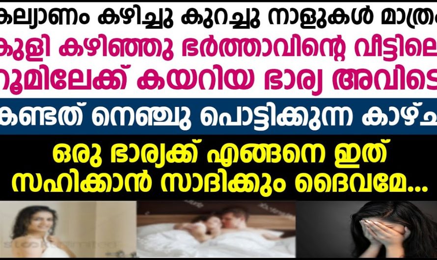 നിനക്ക് ഈ ചേട്ടത്തിയമ്മയെ തന്നെ കെട്ടിക്കൂടെ എന്നെ എന്തിനാണ് കെട്ടിയത്, എന്റെ ജീവിതം നശിപ്പിച്ചത് എന്തിനാണ് നീ അതിന് ഉത്തരം പറയണം
