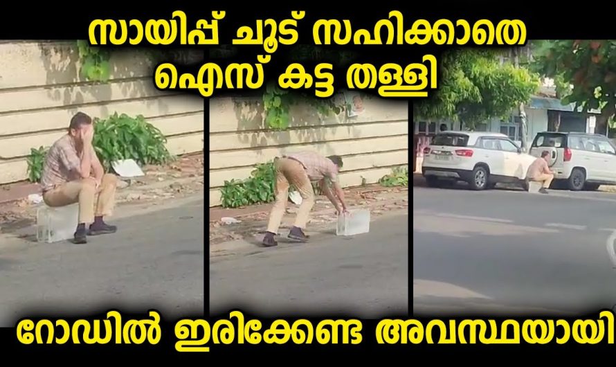 വിദേശ സഞ്ചാരി നമ്മുടെ നാട്ടിലെത്തിയ റോഡിലൂടെ പോകുന്ന കാഴ്ചയാണിത്, ഇങ്ങനെ ആവോ അവിടെ ചൂട് കുറക്കുന്നത്…?