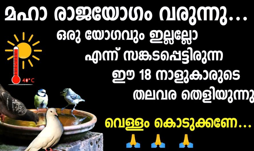 മഹാരാജയോഗം എത്തുന്നു, ഈ 18 നാളുകാരുടെ രണ്ടാം ജന്മം, ഇവയ്ക്കു വെള്ളം കൊടുക്കാതെ ഇരിക്കല്ലേ