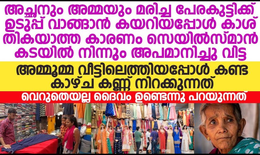 കാശുണ്ടായിട്ട് വില ചോദിച്ചാൽ പോരെ,  എന്തിനാ ഞങ്ങളെ ബുദ്ധിമുട്ടിക്കുന്നത് വയസ്സായ പണമില്ലാത്ത ആ മാതാപിതാക്കളോട് അവൻ പറഞ്ഞത് കേട്ടോ!