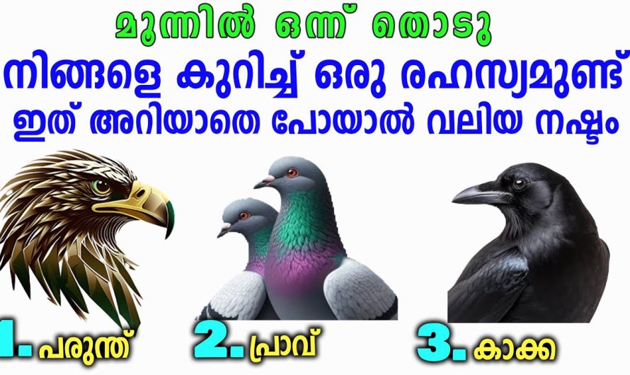 ജീവിതം രക്ഷപെടും ഇത് അറിഞ്ഞാൽ 100 % ഉറപ്പ്, എത്ര വലിയ കഷ്ടപ്പാടും ഇല്ലാതെ ആയി മാറും