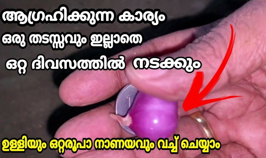 ആർക്കും അറിയാത്ത ഈ കാര്യം ആഗ്രഹം സാധിച്ചു തരും, ആരോടും പറയാതെ ചെയ്താൽ ഫലം ഉറപ്പ്!!