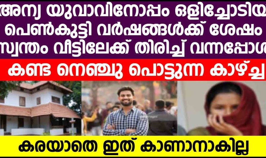 വീട്ടുകാരുടെ വാക്കുകള് കേൾക്കാതെ ജീവന്റെ ജീവനായ ചേട്ടനും ഉപേക്ഷിച്ച് വല്ലവന്റെ കൂടെ പോയ നിങ്ങൾക്ക് സംഭവിച്ചത് കൊണ്ട് ചേട്ടൻ വാ വിട്ടു കരഞ്ഞു
