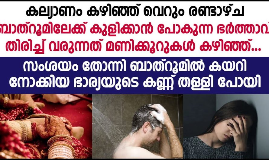 ബാത്റൂമിൽ കയറിയാൽ ഭർത്താവ് മണിക്കൂറുകൾ കഴിഞ്ഞ് തിരിച്ചു വരുന്നു എന്താണ് ചെയ്യുന്നത് എന്ന് അറിയാൻ നോക്കിയ ഭാര്യ കണ്ടത്